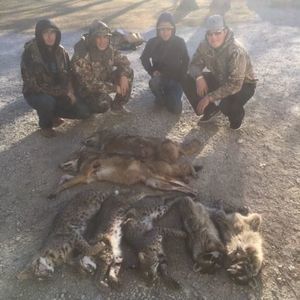 Meet your Posher, Myles